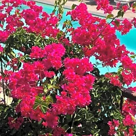 Turgutreis Hotell
